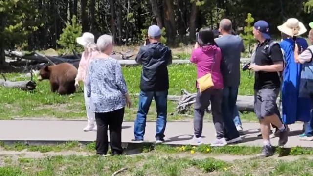 "It's hard to believe some of these people consider themselves nature lovers."