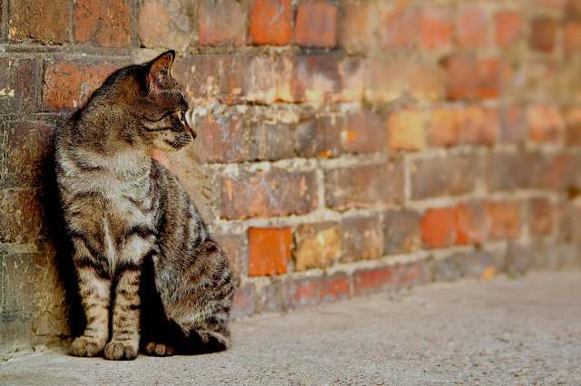 As rage-inducing as the situation was, it had a happy ending.