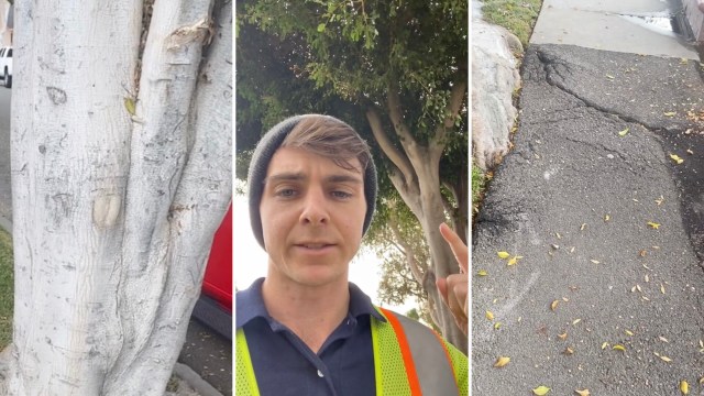 Commenters on the video were understandably disturbed.