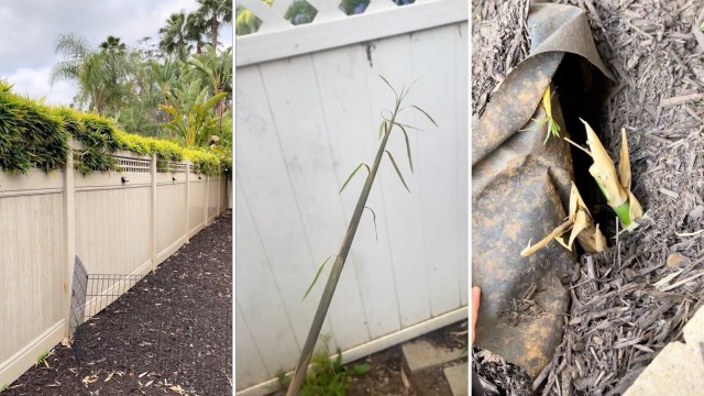 "You're in BIG trouble."