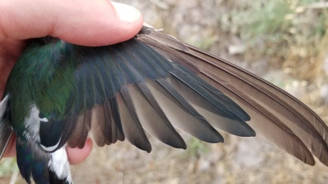 Researchers already have the next steps in mind.