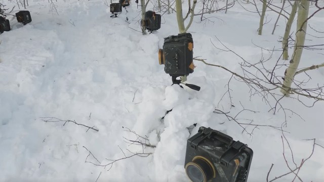 "This may be the single best wildlife video I’ve ever seen."