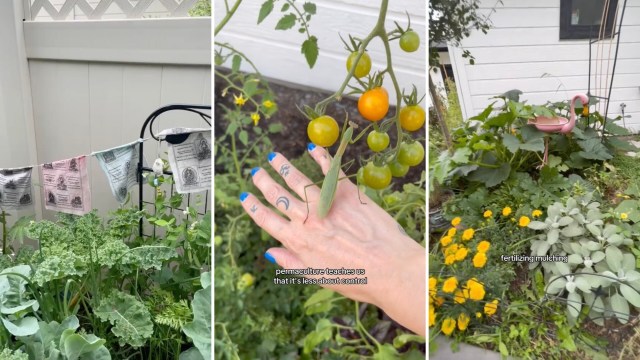 "I learned the hard way too."