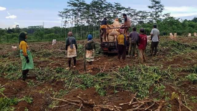 "The data pile up. The politicians turn a blind eye."