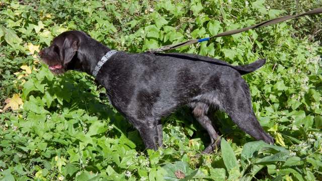 "We don't have the time or resources to do that."