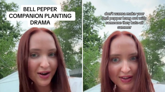 "This is so entertaining; please make this a series."