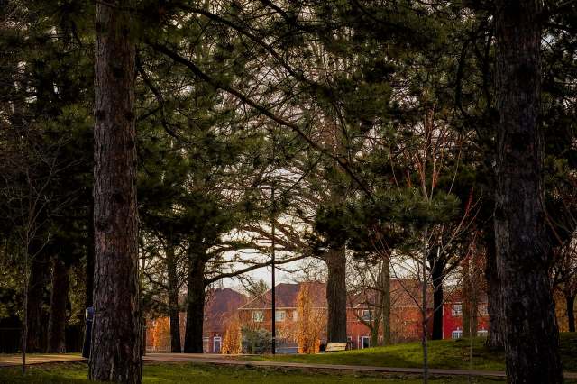 "What's wrong with people?"