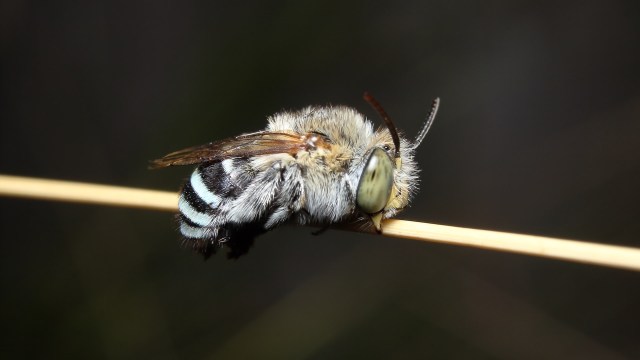 "Losses that would normally take a decade have happened in months."