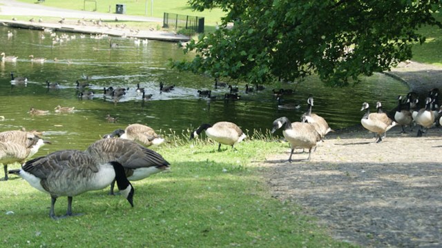 "It's an endless loop of carelessness."