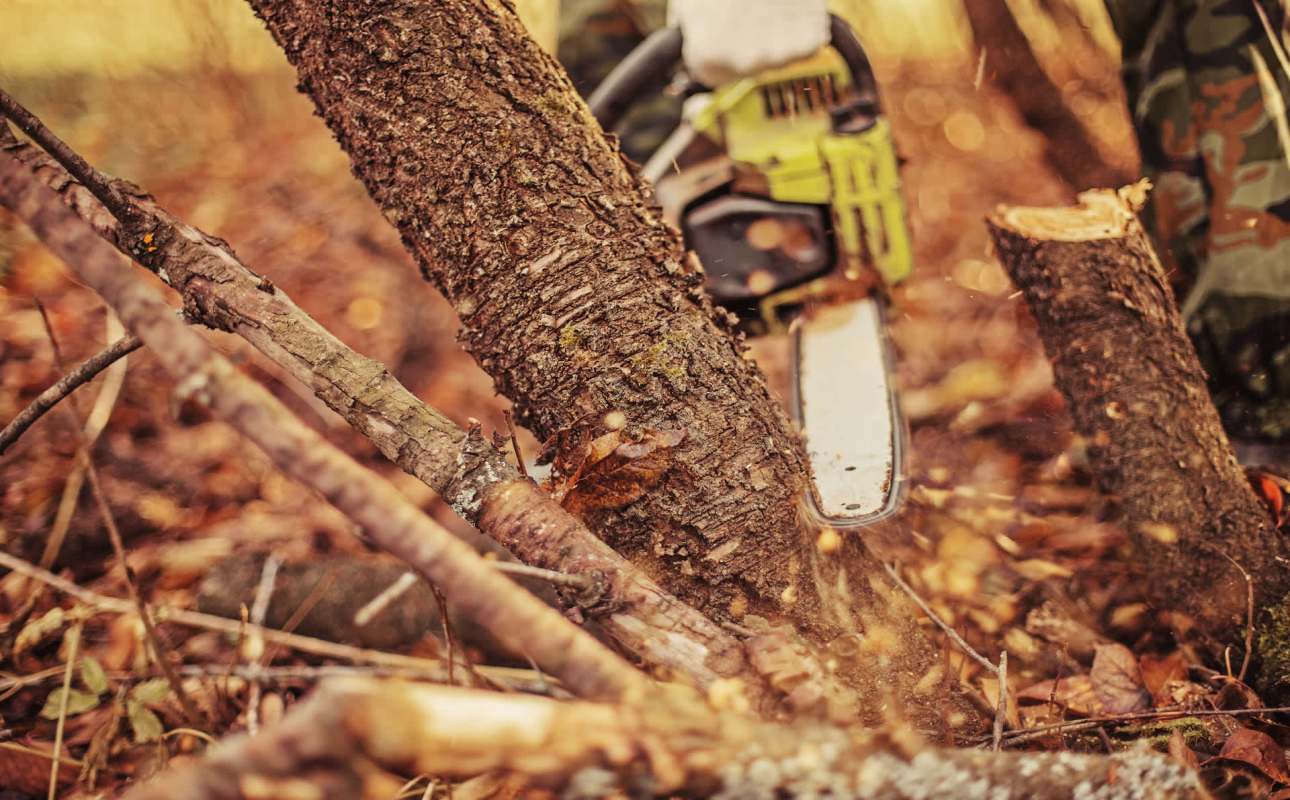 "I tried hard to hate it, but I couldn't."