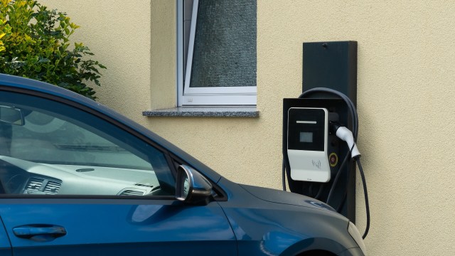 "Seems like there are a lot of backwards things happening."