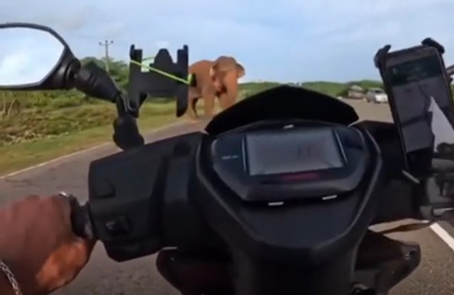 The video quickly drew stunned reactions.