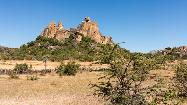 Officials haven't confirmed how long the program will last.