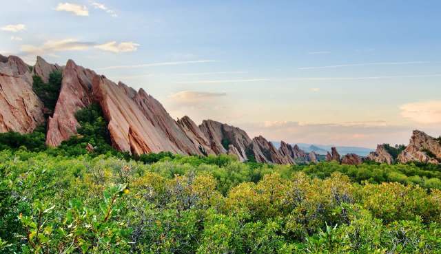 There's a dark secret behind the seemingly innocent display.