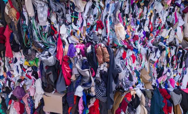 "What our research has shown is that this sector actually wants good law – the right kind of law."