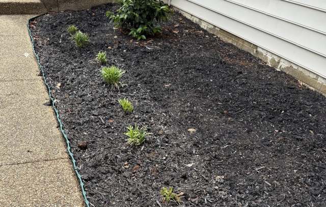 "You don't need to replace it with anything."