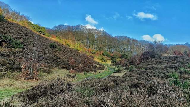 "Burdens our communities."
