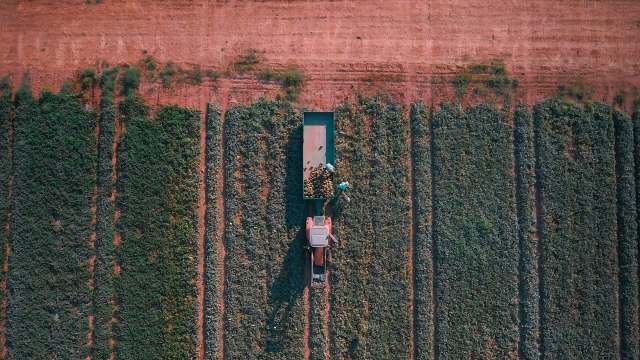 "Undermining agricultural production."