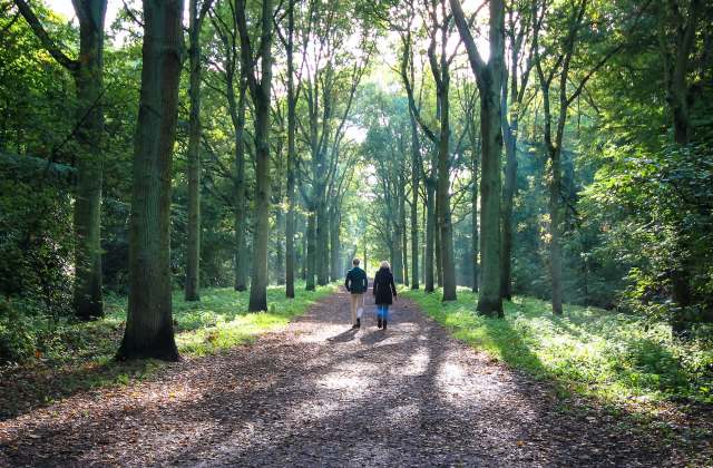 The findings suggest our connection to nature plays a major role in our well-being.