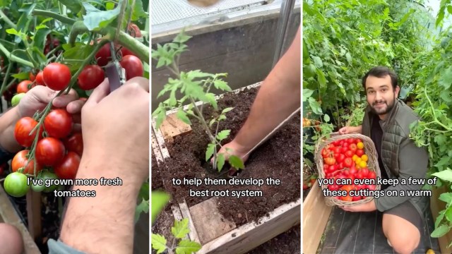 "Thanks for the tip."