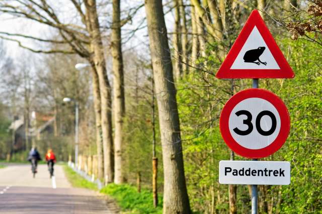 A tiny bit of help from humans can make a huge difference.