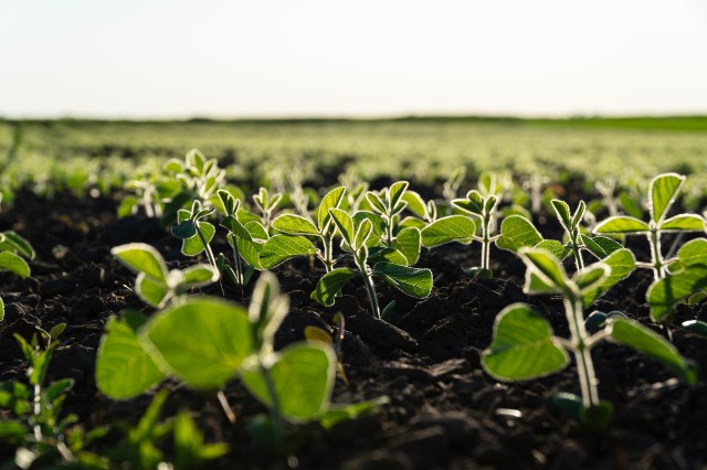 "This work is a promising initial step."