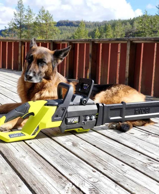 "I tried hard to hate it, but I couldn't."