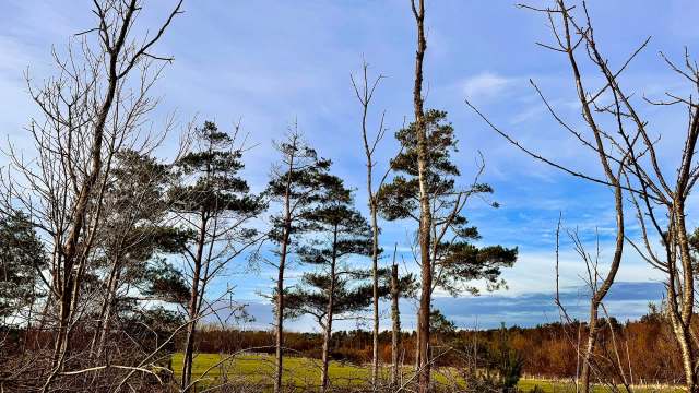 "It was absolutely colossal."