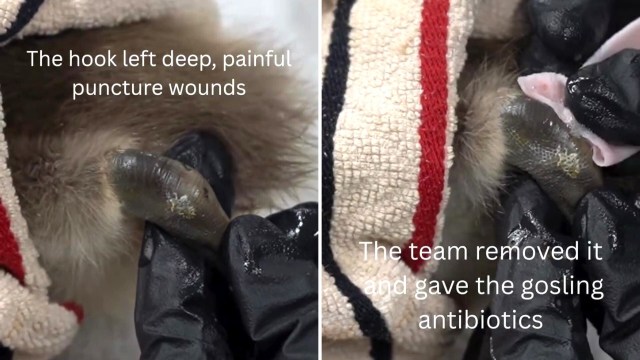 "Thank you for caring for her!"