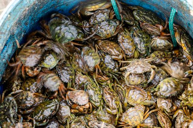 "If you can't beat them, eat them."