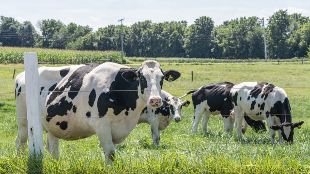 "The sheer volume of data ... can be really overwhelming."