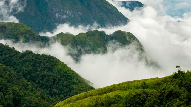 It suggests that there may be more groups in the area.