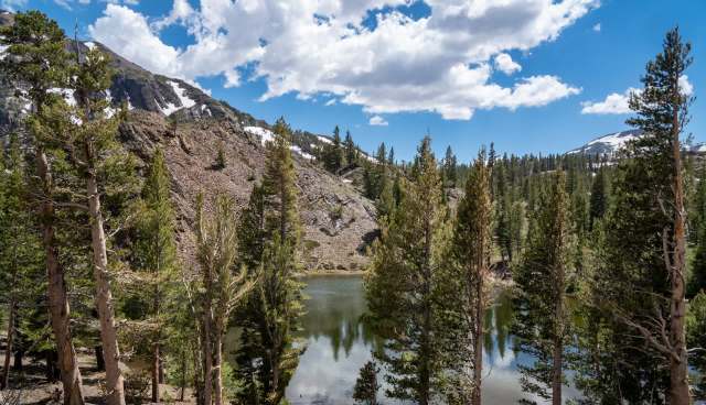 "If we bring it back, it reminds us of a new future."