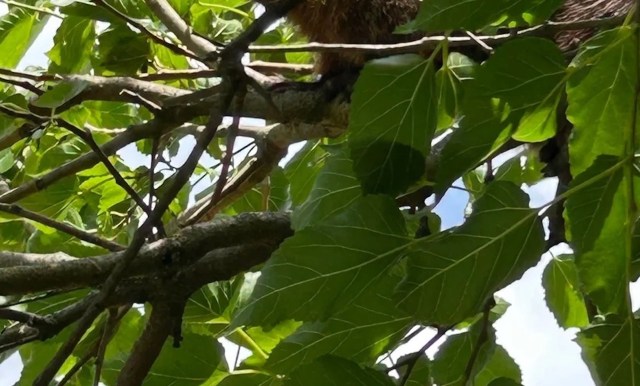 "There are so few places nature can go without annoying humans."