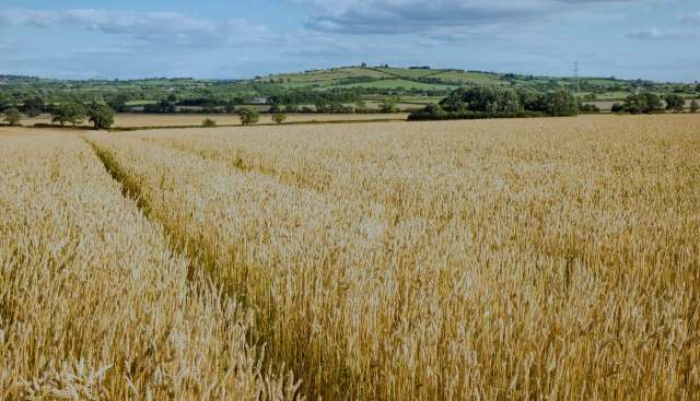 "We must act to preserve and protect this proud tradition."