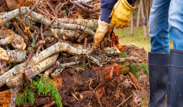 "Everything grew amazingly well!"