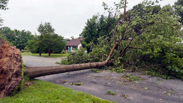 "Our findings contribute significantly to our understanding."