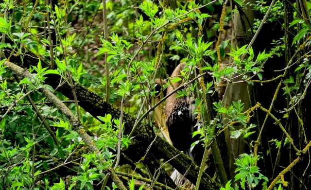 If you’re within lunging range, you’re already too close.