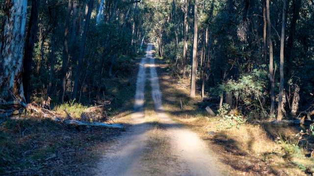 The man was ordered to appear in court.