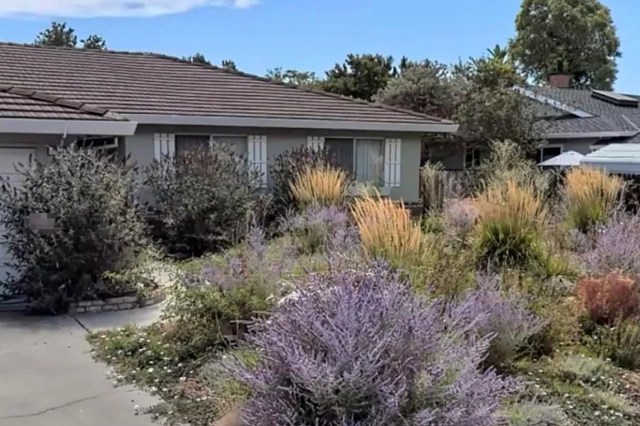 "It's amazing when those plants finally mature."