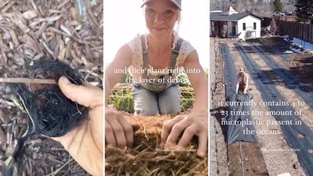 "I absolutely love how you're always trying to do better."