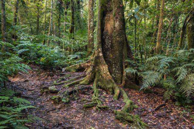 "We are definitely going through a sixth mass extinction."