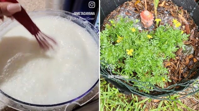 "I'm going to try this!"