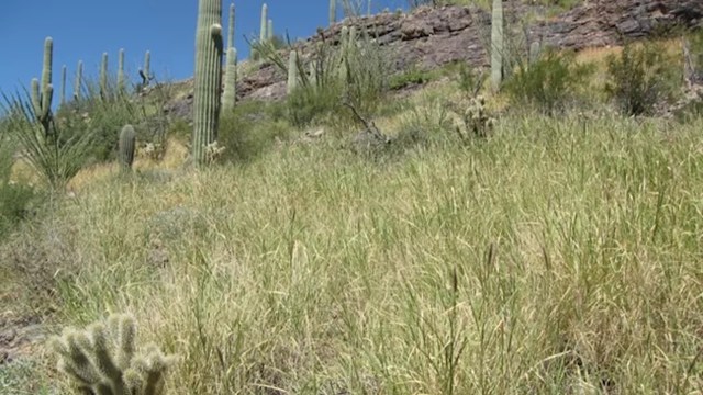 Putting containment plans into effect requires dedicated resources.