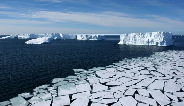 "Each of these species and organisms work together in ecosystems, like an intricate web."