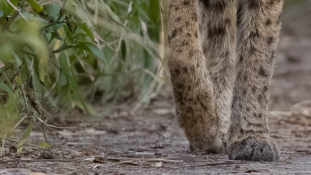 "It's two seconds. It's instant fast."