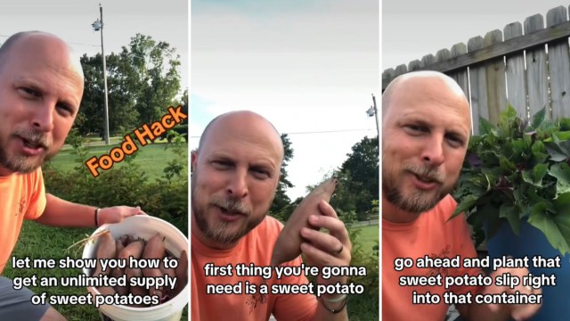 "I'm doing this right now!"