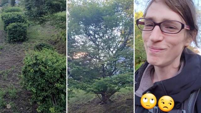 TikTok commenters were just as annoyed.