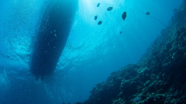 These initiatives are an encouraging example of how public action and agency coordination can keep ecosystems healthy.