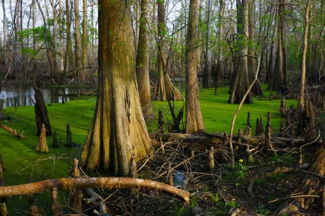 "Can they be controlled? That's to be determined."